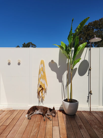 The After Surf Shower